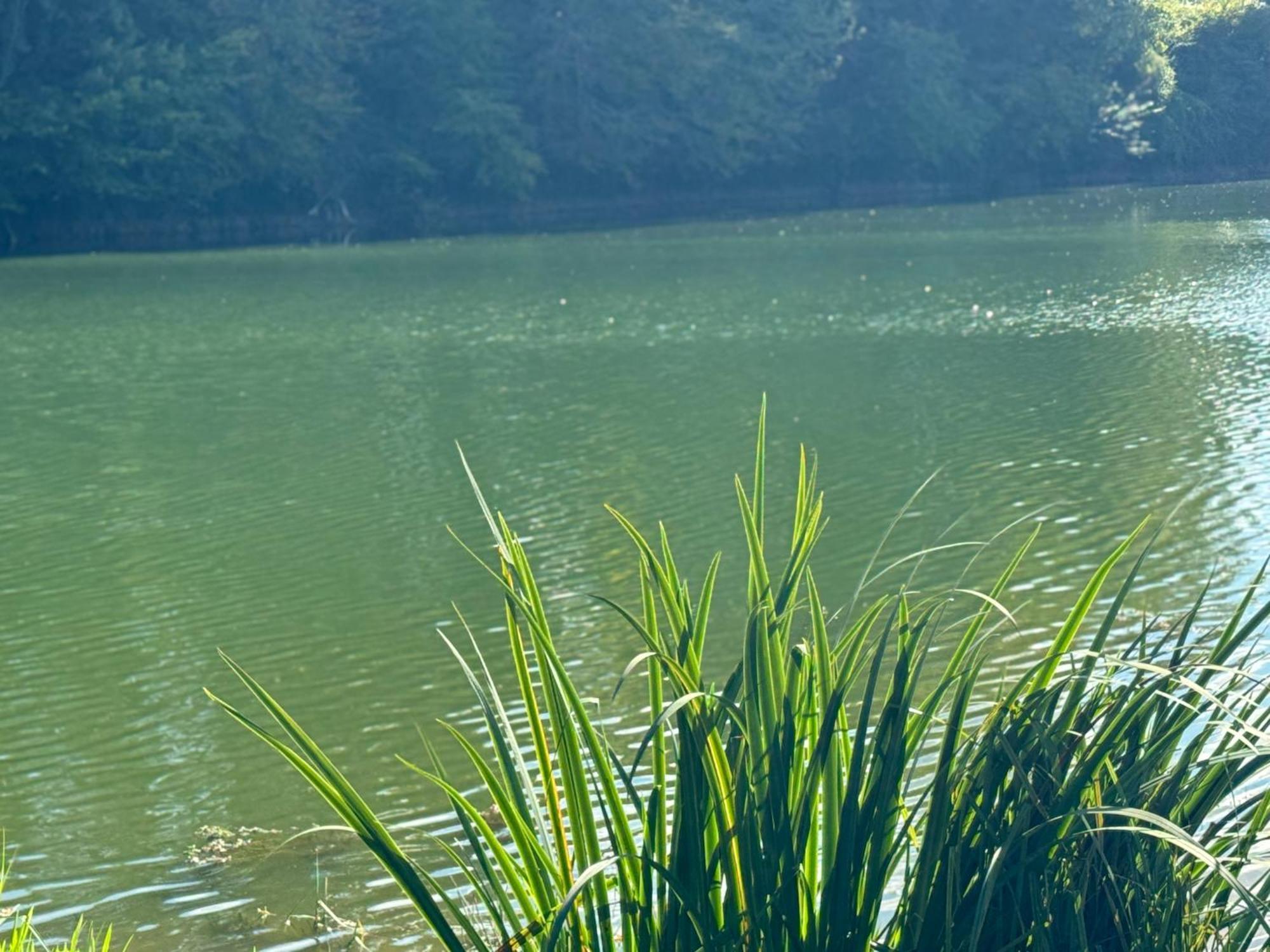 Lac De Lumiere. Relax With Rural Lakeside Living Herry Exterior foto